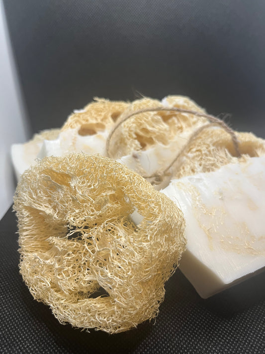 Cleansing LuxeLoofa Bar