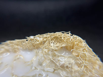 Cleansing LuxeLoofa Bar